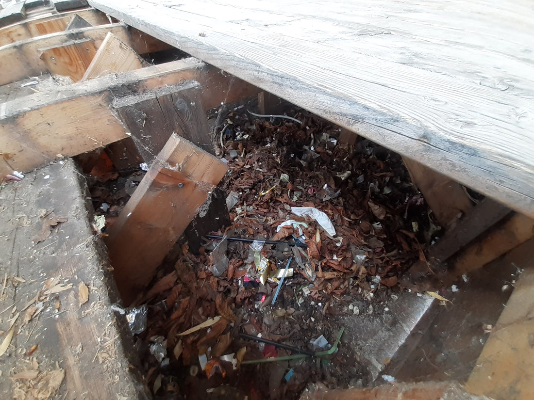Schockierende Bilder: so sieht es unter der Terrasse eines Gastgartens aus.